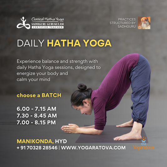 Daily Classical Hatha Yoga Classes